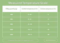 Winter Sleeping Bag - ArcticNest-Orange-400g-State of Style