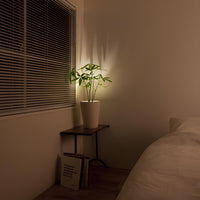 Wireless LED Spotlight - LumaSpot-2-White - AA Batteries-White-State of Style