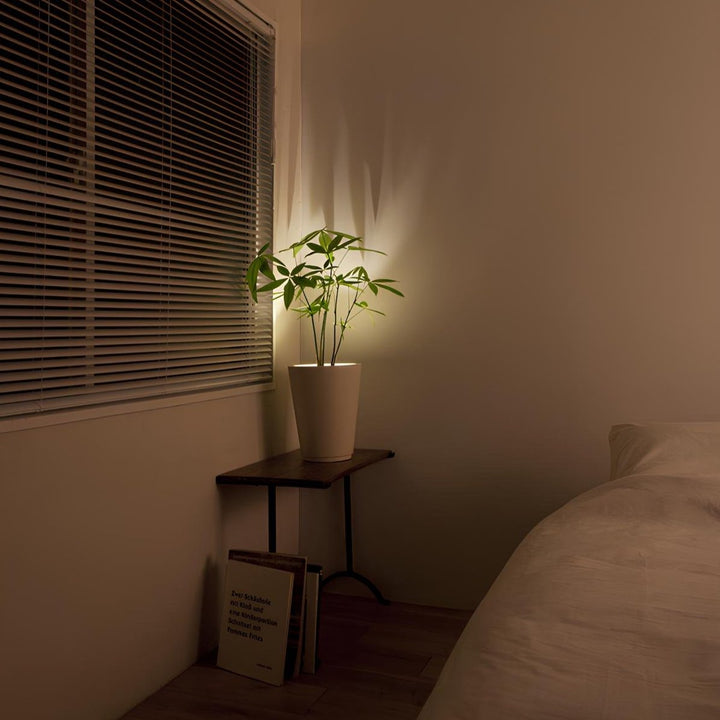 Wireless LED Spotlight - LumaSpot-2-White - AA Batteries-White-State of Style