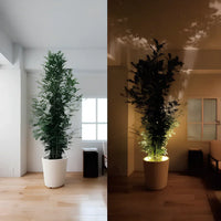 Wireless LED Spotlight - LumaSpot-2-White - AA Batteries-White-State of Style