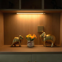 Wireless Motion Sensor Lamp - GlowMotion-Silver-20 cm-State of Style