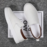 Canvas Slip-On Men's Shoes – Lennard