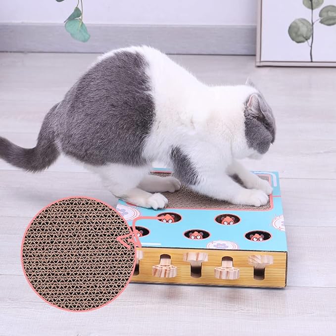3-in-1 Interactive Cat Toy - WhiskerPlay-State of Style