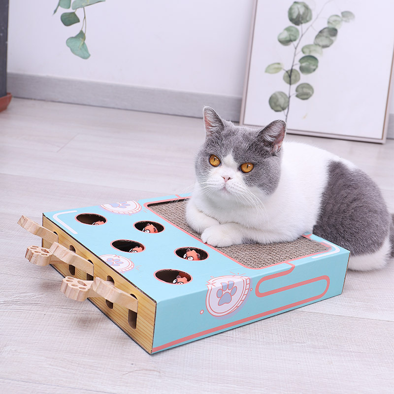 3-in-1 Interactive Cat Toy - WhiskerPlay-State of Style