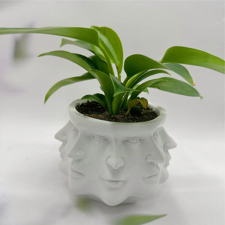 3D Face Pot - FaceBloom-White-State of Style