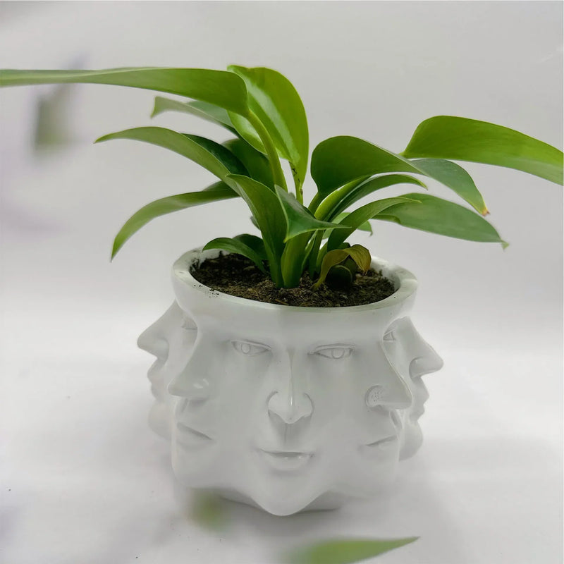 3D Face Pot - FaceBloom-White-State of Style