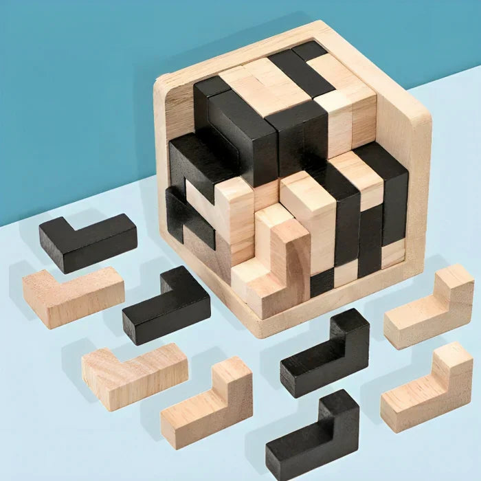 3D Wooden Brain Teaser - PuzzleMaster-State of Style