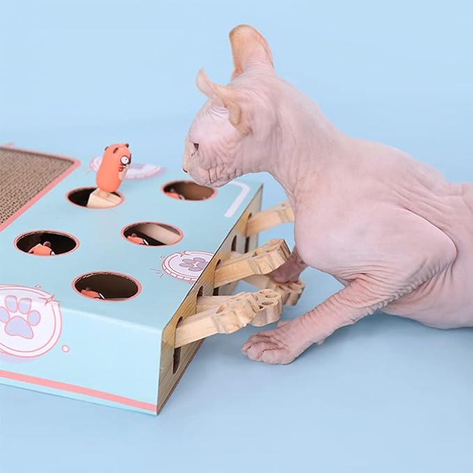 3-in-1 Interactive Cat Toy - WhiskerPlay