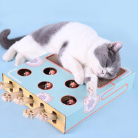 3-in-1 Interactive Cat Toy - WhiskerPlay