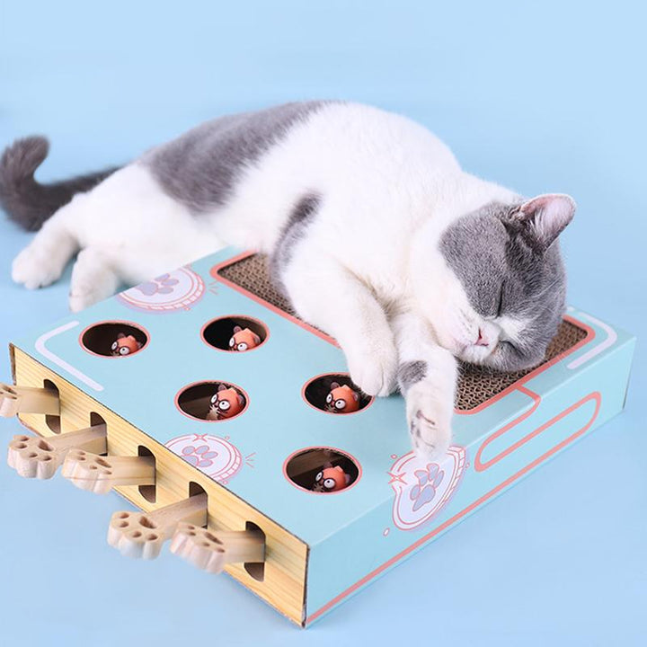 3-in-1 Interactive Cat Toy - WhiskerPlay