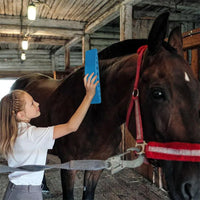 6-In-1 Horse Care Brush - EquiGlow-Blue-State of Style
