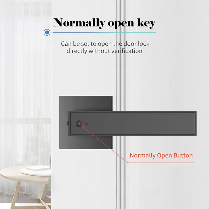Smart Fingerprint Door Lever Lock with Key Access & 30 User Capacity – Nivora