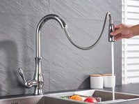 Pull-Out Kitchen Faucet - FlexFlow