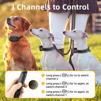Electric Dog Training Collar with 3300ft Remote & Waterproof Design – PetTrainer