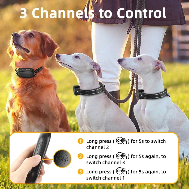 Electric Dog Training Collar with 3300ft Remote & Waterproof Design – PetTrainer