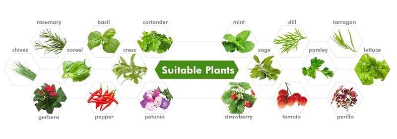 Slim Hydroponic Plant System for Indoors - GreenBloom Hydro