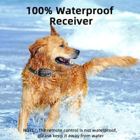 Electric Dog Training Collar with 3300ft Remote & Waterproof Design – PetTrainer