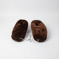 USB-Heizbare Hausschuhe - Warmfoot