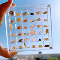 Acrylic Display Case for Collectibles – ClearShell-State of Style