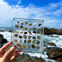 Acrylic Display Case for Collectibles – ClearShell-State of Style