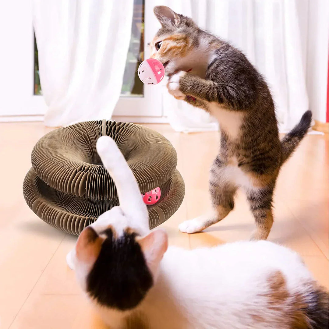 Active Playful Fun for your Cat - PurrFit-State of Style