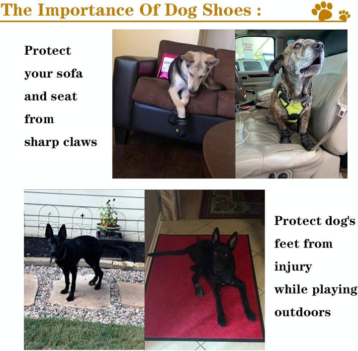 All-Weather Dog Boots for Safe Adventures-Black-1-State of Style