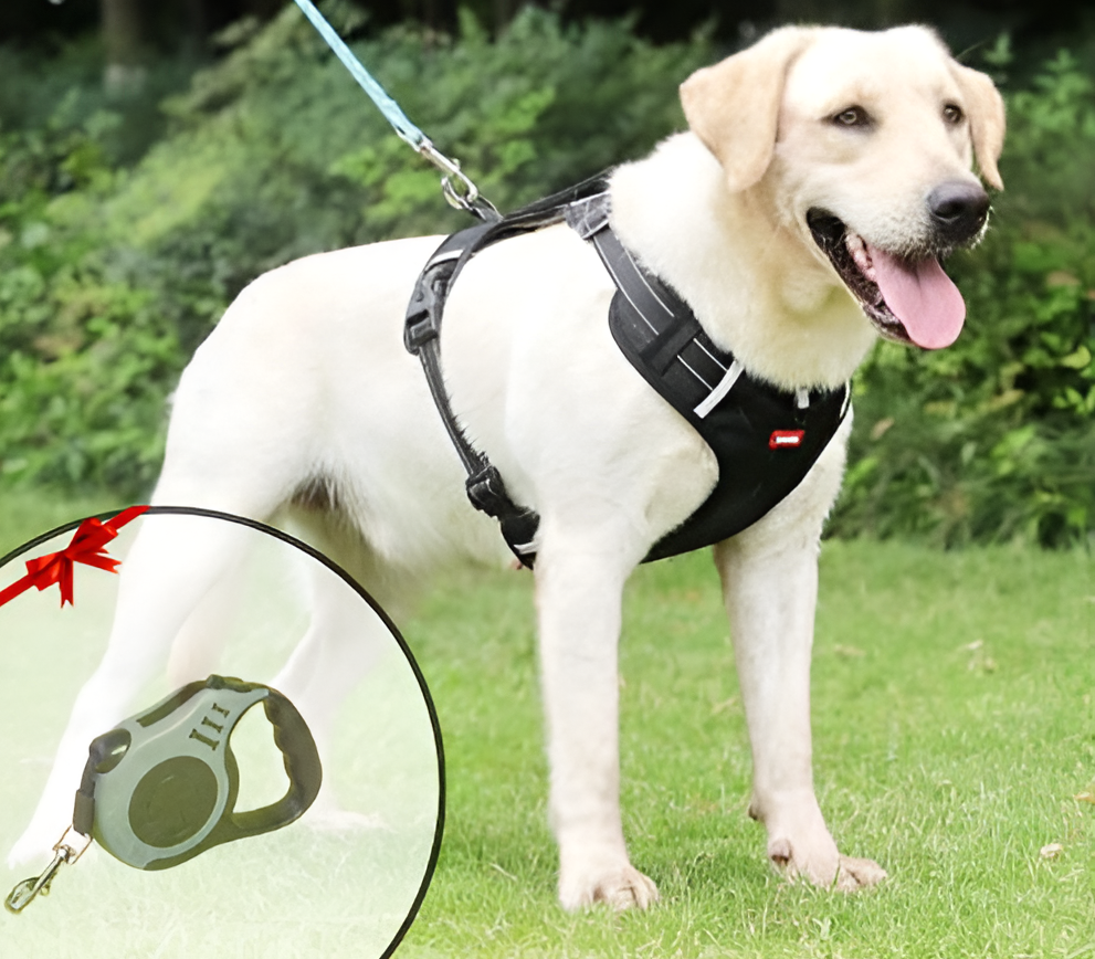 Anti-Pull Dog Harness - FlexiFit-XS (2.5-5 KG)-Yellow-State of Style