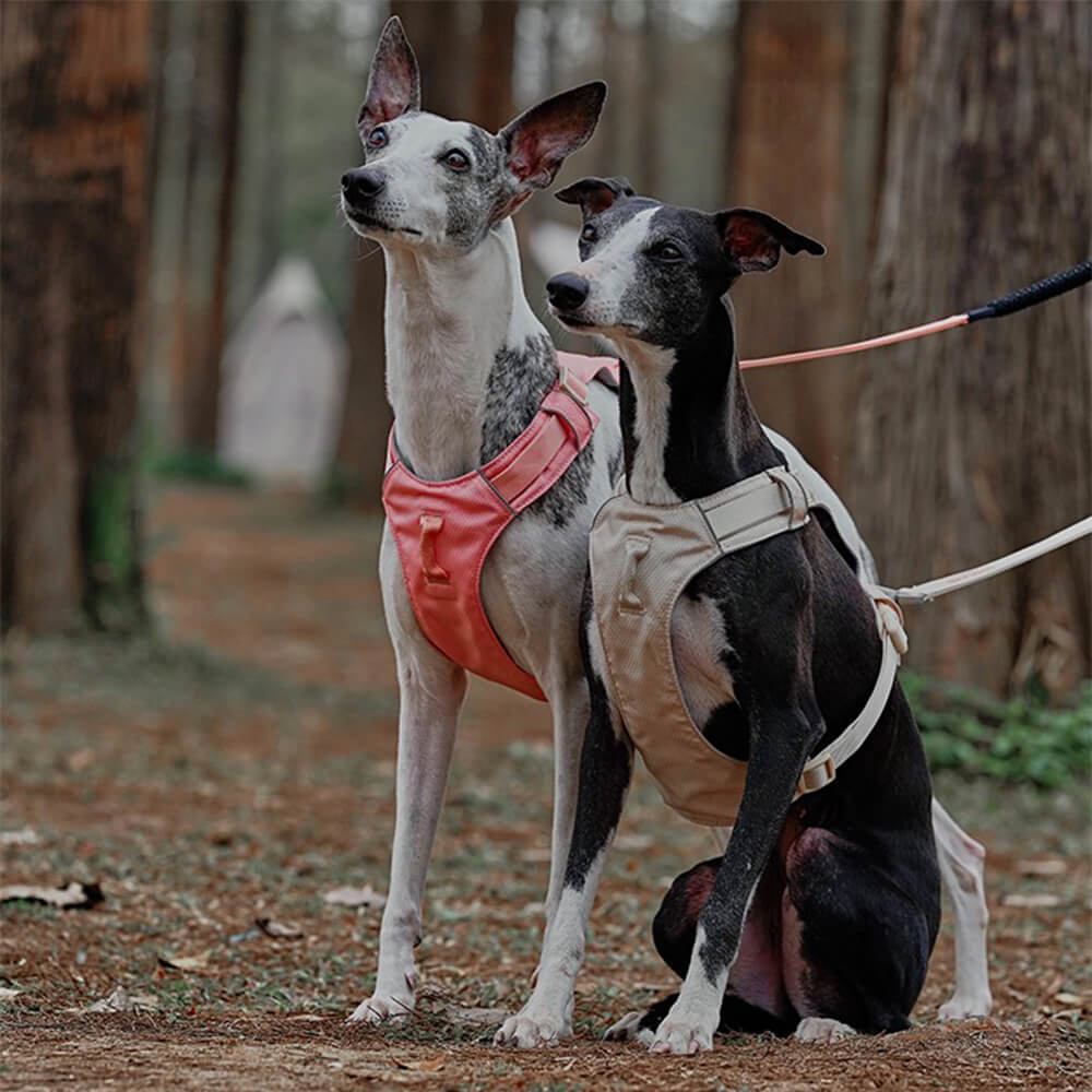 AquaCool - Anti-Pull Dog Harness with Multi-Functional Leash-Harness - Beige-XS-State of Style