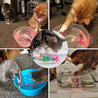 AquaPurr Cat Playset-3 Fish Toys (67% OFF)-State of Style