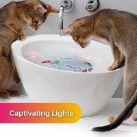 AquaPurr Cat Playset-3 Fish Toys (67% OFF)-State of Style