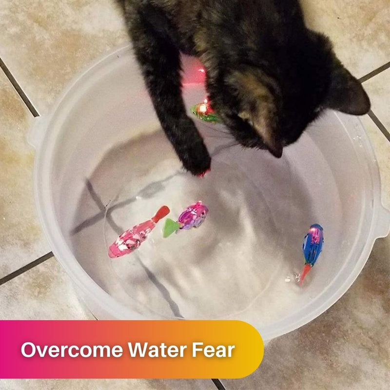 AquaPurr Cat Playset-3 Fish Toys (67% OFF)-State of Style
