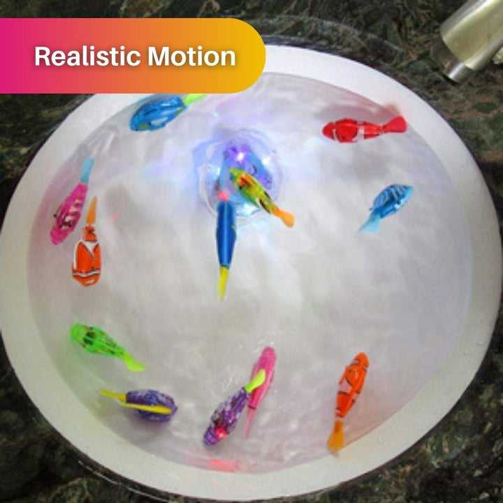 AquaPurr Cat Playset-3 Fish Toys (67% OFF)-State of Style