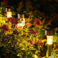 Atmospheric Garden Lighting on Solar Energy - SolarAura-Black Shell-Warm-4.5 x 29.5 cm-State of Style