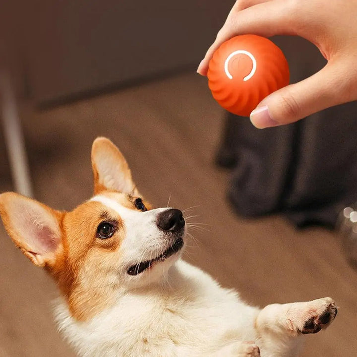 Automatic Interactive Dog Toy - RolliPlay-Blue-State of Style