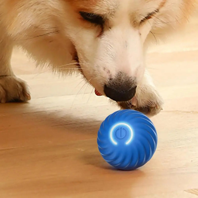Automatic Interactive Dog Toy - RolliPlay-Blue-State of Style