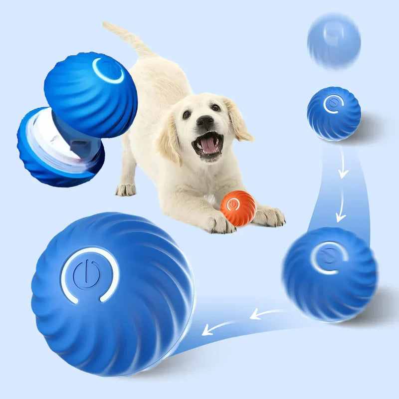Automatic Interactive Dog Toy - RolliPlay-Blue-State of Style
