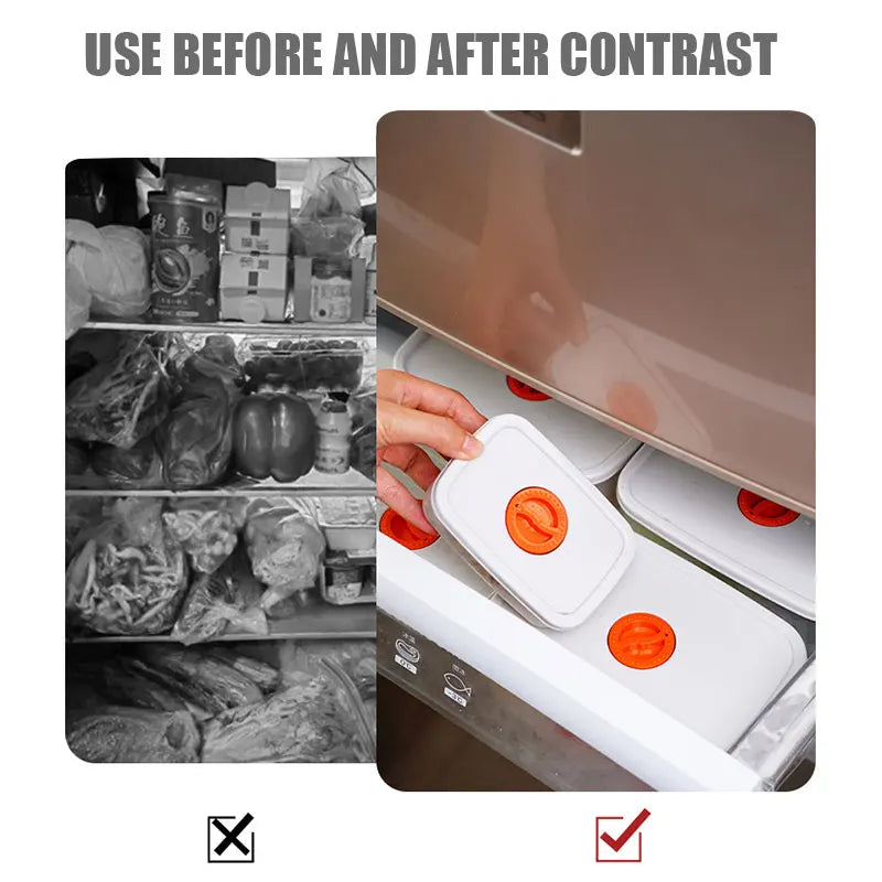 Bento Food Storage Containers - FreshKeeper-S-State of Style