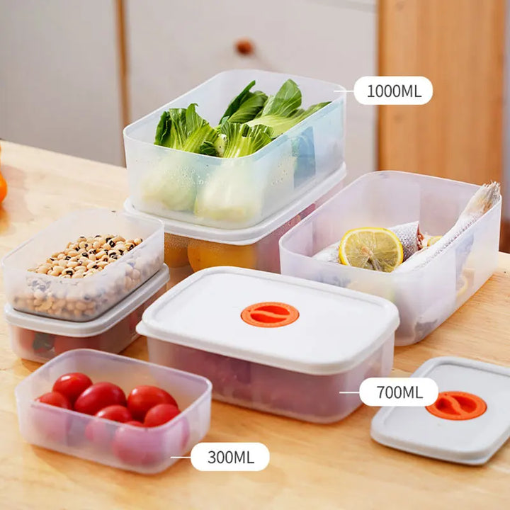 Bento Food Storage Containers - FreshKeeper-S-State of Style