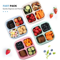Bento-Style 4-Compartment Meal Prep Boxes (4-Pack) - Bento4You-State of Style