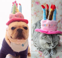 Birthday Hat for Dogs and Cats - PartyPaws-Blue-State of Style