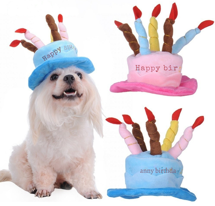Birthday Hat for Dogs and Cats - PartyPaws-Blue-State of Style