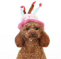 Birthday Hat for Dogs and Cats - PartyPaws-Blue-State of Style