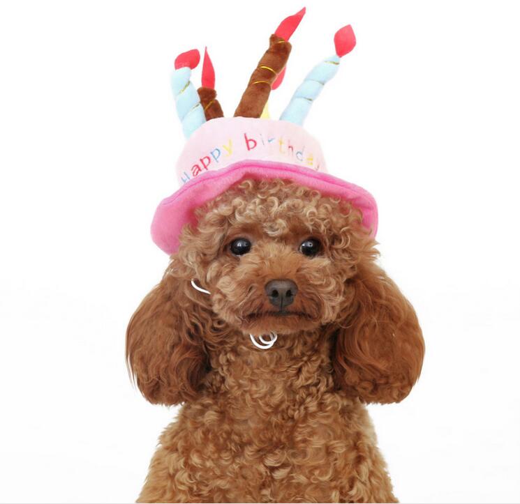 Birthday Hat for Dogs and Cats - PartyPaws-Blue-State of Style