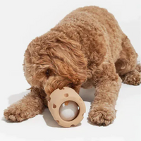 BounceChew - Dental Care Toy for Dogs-Purple-State of Style