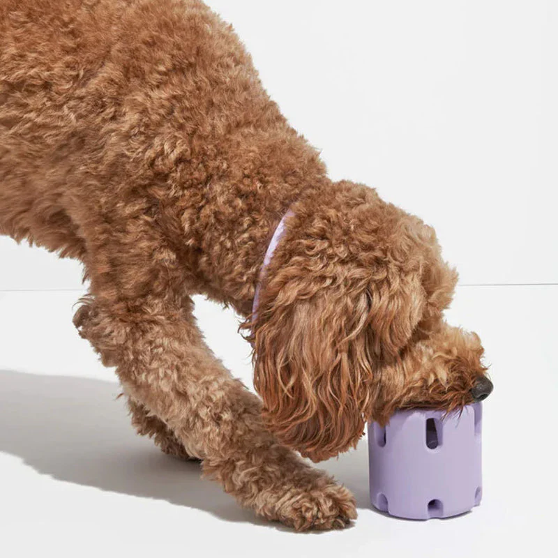 BounceChew - Dental Care Toy for Dogs-Purple-State of Style