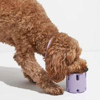 BounceChew - Dental Care Toy for Dogs-Purple-State of Style