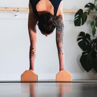 Calisthenics Houten Parallettes Bars – Stable Push-Up Bars-State of Style