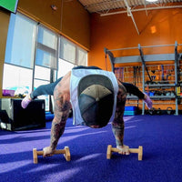 Calisthenics Houten Parallettes Bars – Stable Push-Up Bars-State of Style