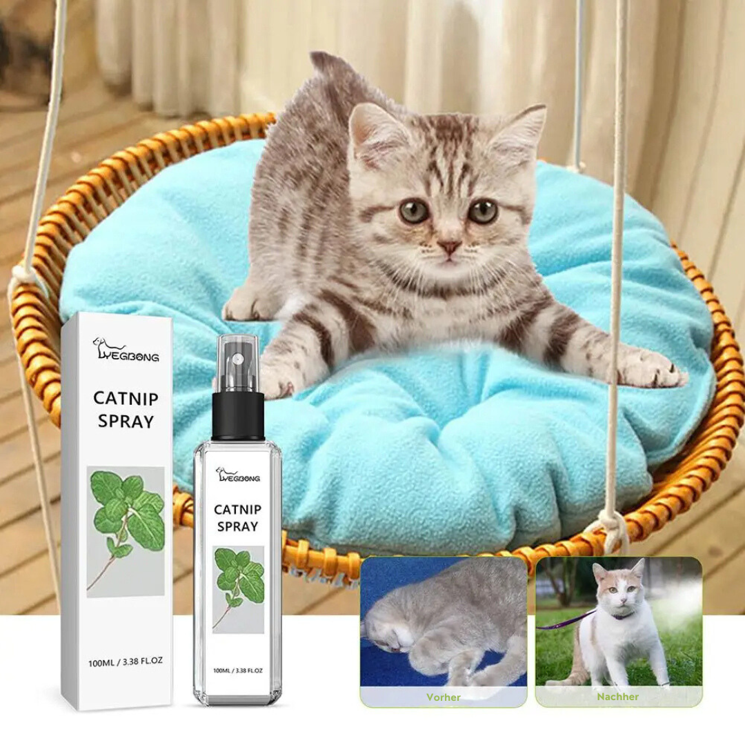 Calming Cat Spray - SilverVine Bliss Spray-State of Style