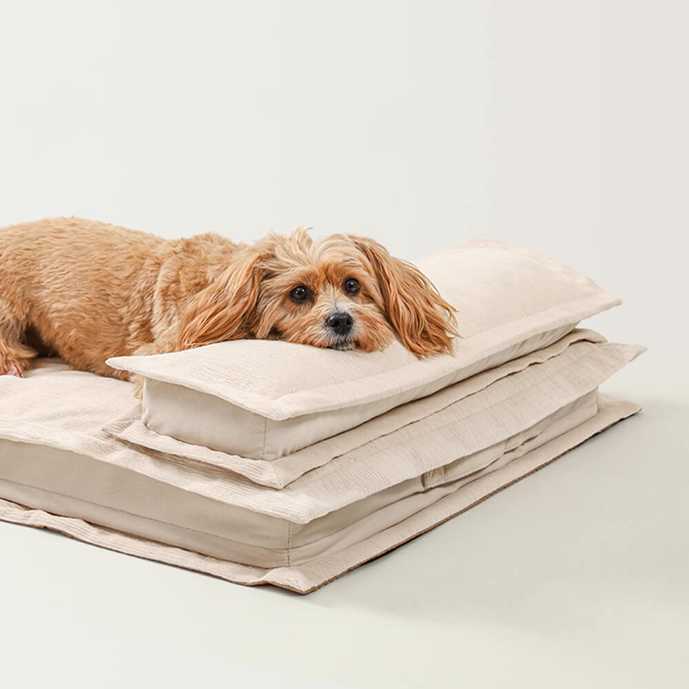 Calming Dog Bed - CozyCalm Deep Sleep-Beige-S-State of Style